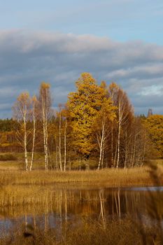 Autumnal lake in sunshine on forest background