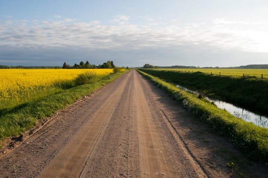 country road between green fields over clear sky. 