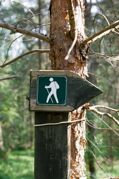 Hiking directional sign on the forest paths