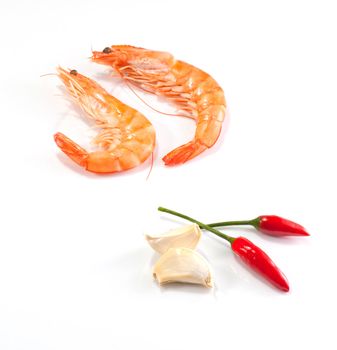 Shrimps, chilli and garlic on a white background