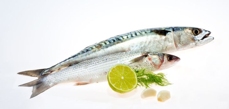 Mullet and mackerel with garlic and lemon