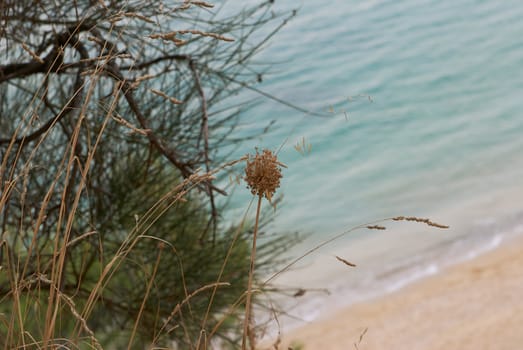 view from mountains on beach grass and sedge