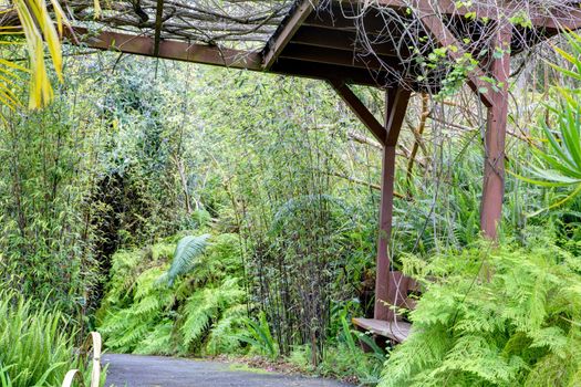 Kula Botanical Garden. Maui. Hawaii. Covered bridge. Tropical landscape.