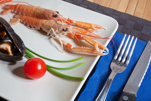 Scampi and shrimp on dish