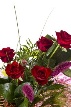 Bouquet of red roses isolatet on white background