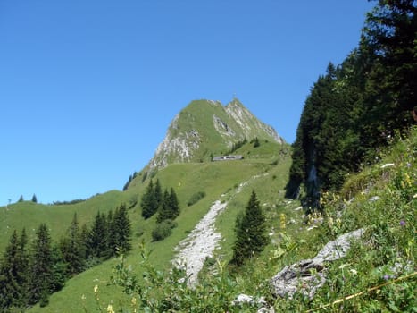 Alps nature by summer beautiful day, Switzerland