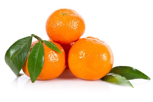 Mandarine fruits with leaves isolated over white