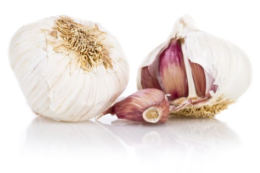 Garlic isolated over white