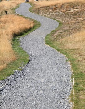 curve pathway road on the filed at castle hill New Zealand