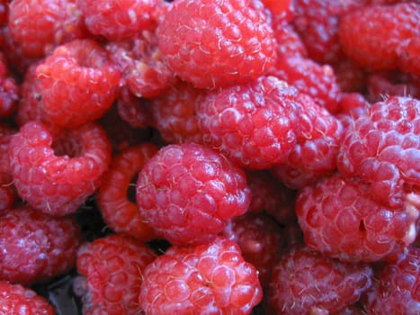 Summer raspberries