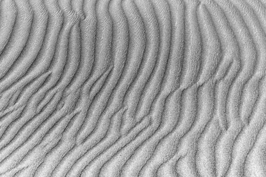 black and white sand dunes in the background