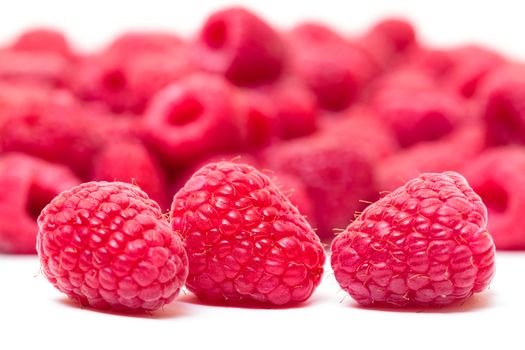 Ripe Berry Red Raspberry closeup on berries background