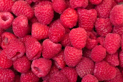 Ripe Berry Red Raspberry, closeup, backdrop