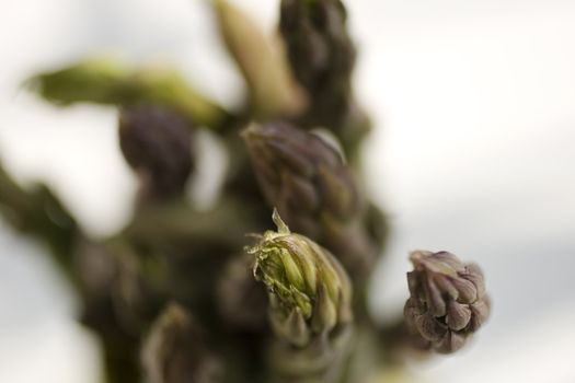 A bunch of fresh asparagus