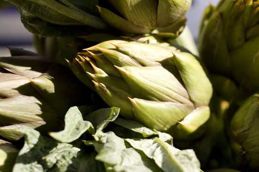 Fresh green artichokes on display at the farmer's market