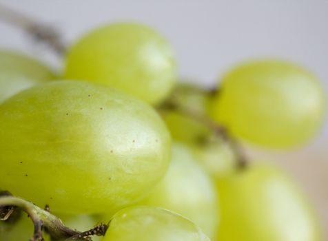 Photo of fresh green grape