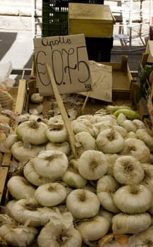 Photo of white Onions background