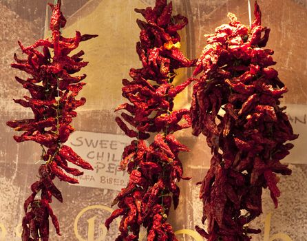 Photo of Dried red hot chili peppers