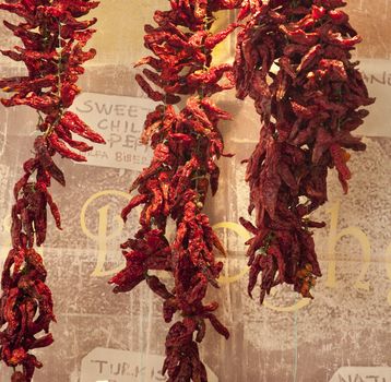 Photo of Dried red hot chili peppers