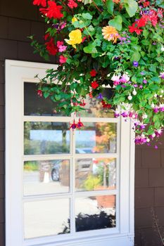 Flowers in hanging basket with white window and brown wall.