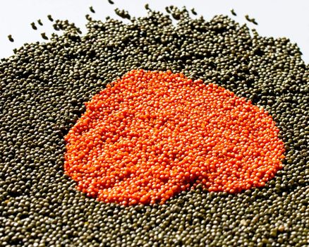Photo of Heart of lentils and beans