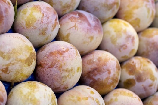 Photo of delicious fresh plums