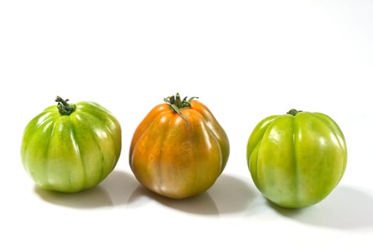Various fresh tomatoes on a white background