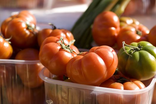 A lot of fresh tomatoes