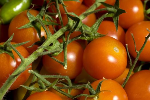 A lot of Little tomatoes, Pachino tomatoes