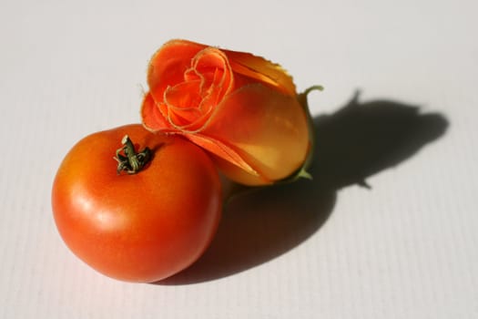 Red tomato and plastic rose