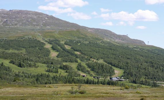 Skiing Slope during summer where slopes are visible.