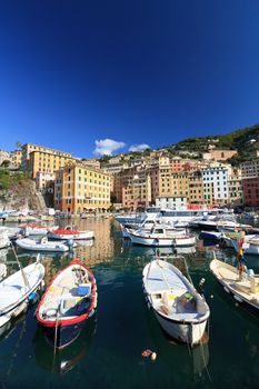 small harbor in Camogli, famous small town in Liguria, Italy