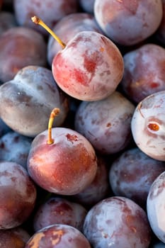 Photo of biological purple plums