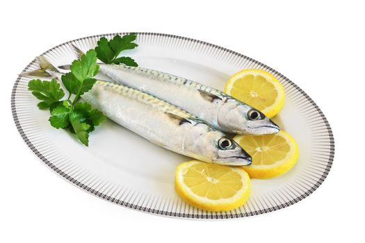 dish with mackerels with lemon and pasley isolated on white background with clipping path