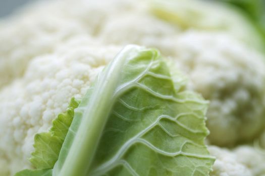 Close up of fresh Cauliflower