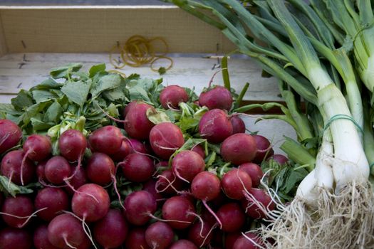 Photo of Red radish and leeks
