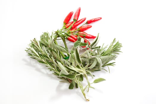 Sage and Red hot chili peppers isolated on white background