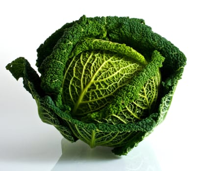 Savoy cabbage isolated on a white background