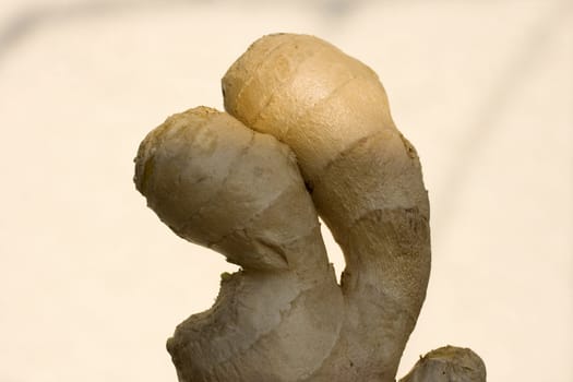 Photo of delicious Fresh ginger