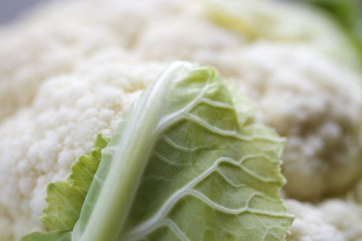 Close up of fresh Cauliflower