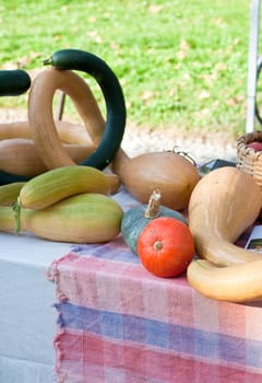 Various different pumpkins on a street market