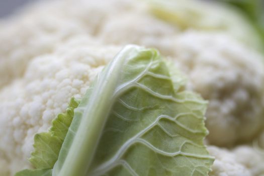 Close up of fresh Cauliflower
