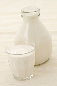 fresh, healthy soy milk on beautiful cheese cloth, nutritious and delicious milk substitute.