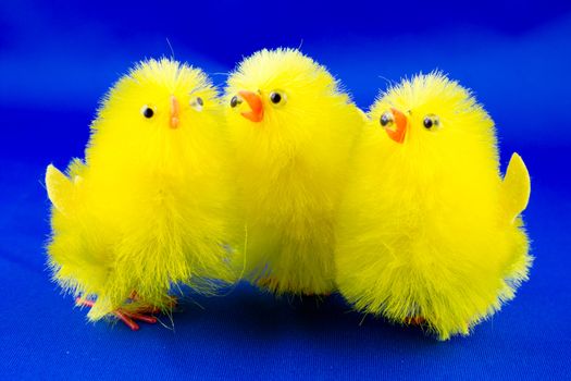 Easter chicks