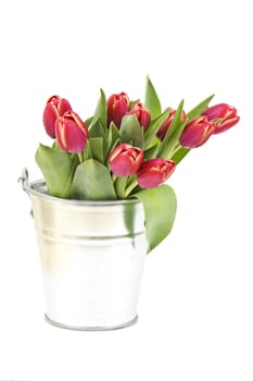 bunch of red tulips