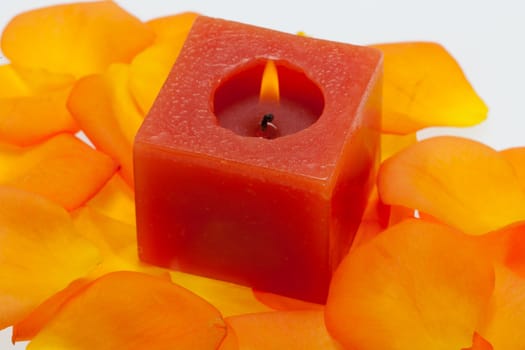 Spilt petals of the orange-rose around the aromatic candle