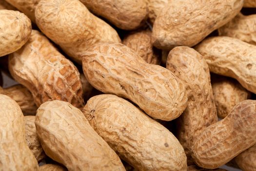 
Dried peanuts in closeup on the white background