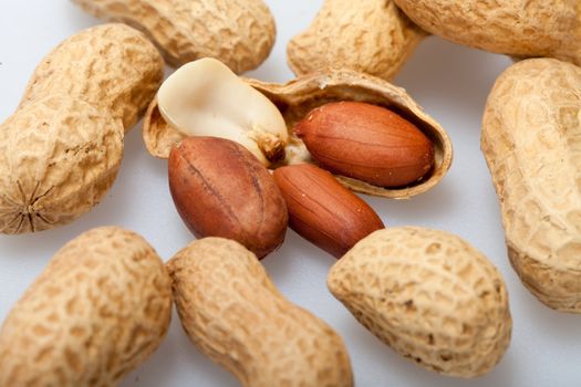 
Dried peanuts in closeup on the white background