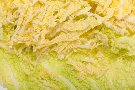 fresh savoy cabbage  isolated on white background