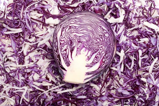 White and Red  Cabbage